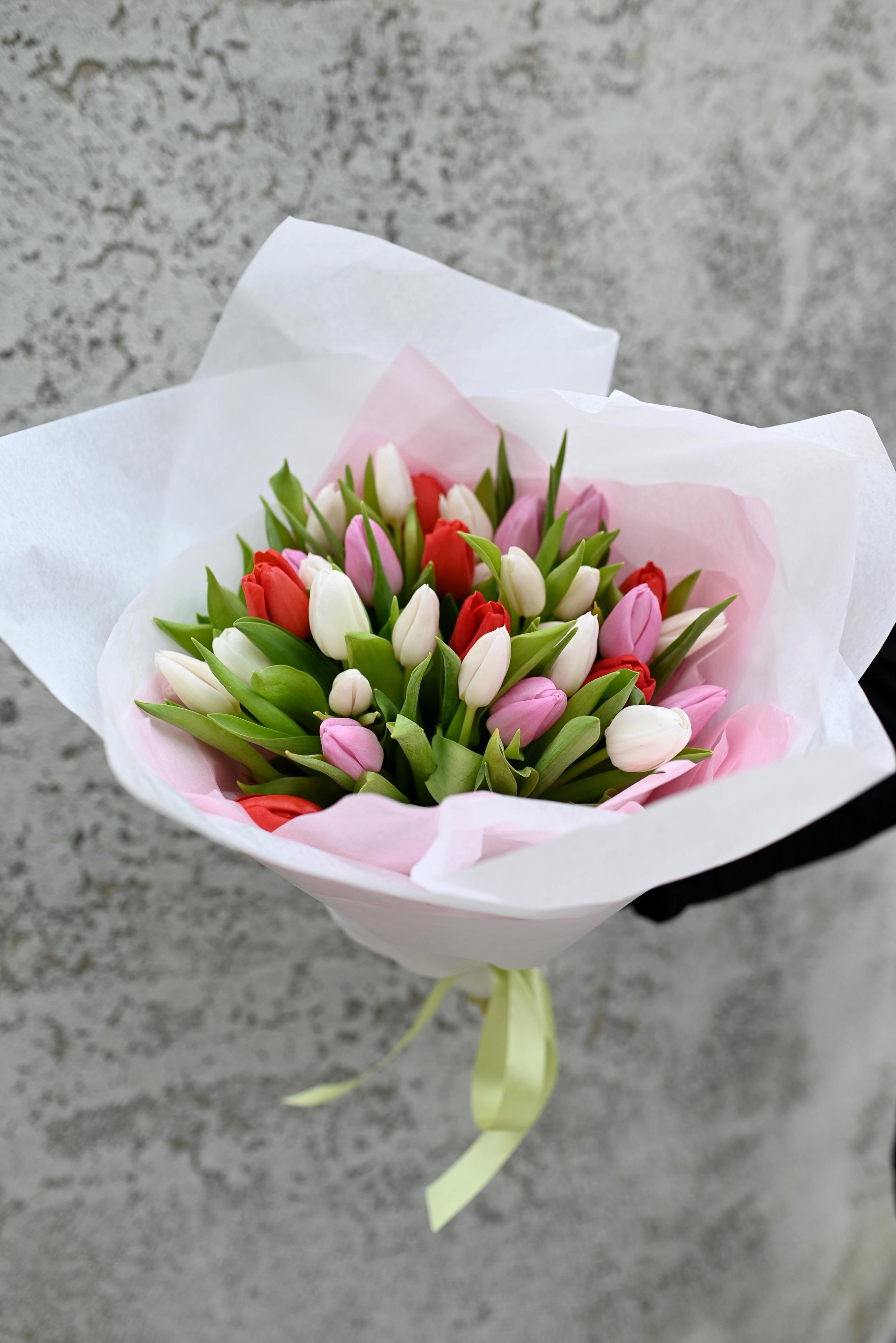 White tulips store bouquet